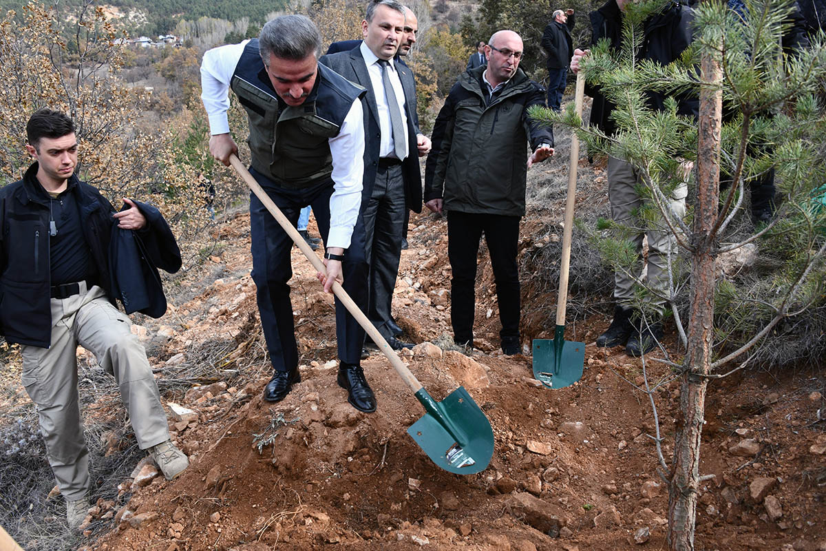 Gümüşhane’de binlerce fidan toprakla buluştu